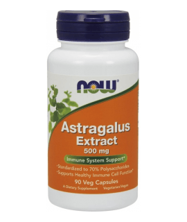 NOW FOODS Astragalus Extract 500mg 90 caps.